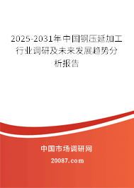2024年鋼壓延加工行業深度分析 現狀、競爭格局與未來發展趨勢